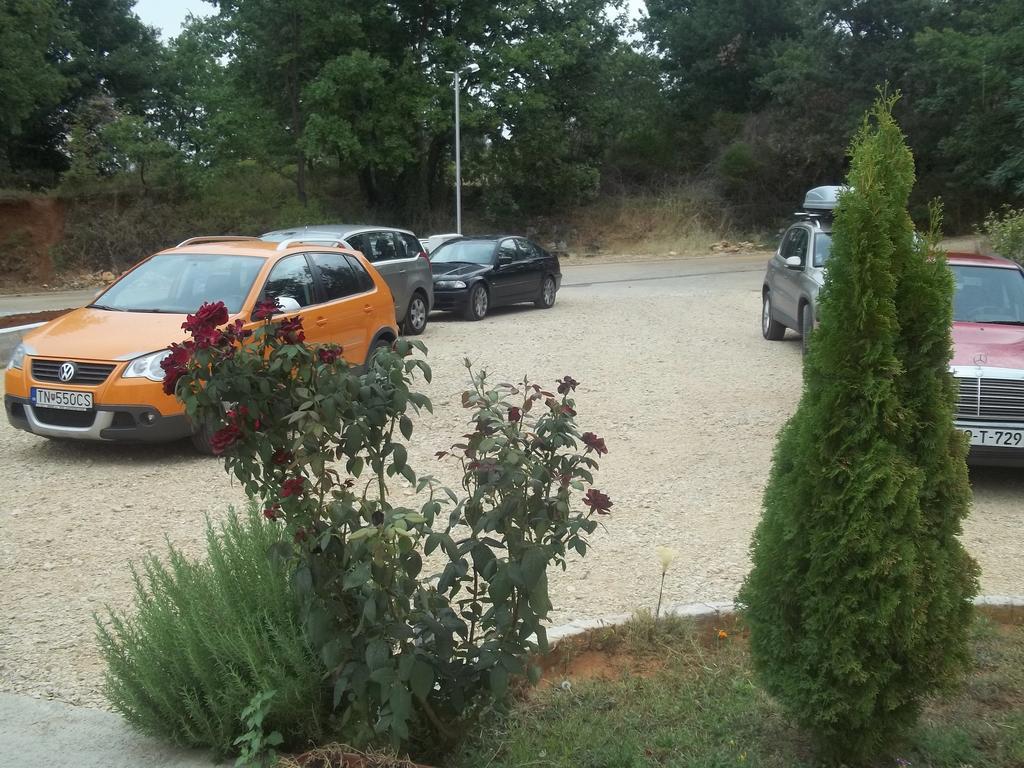 Pansion Danijel 호텔 Međugorje 외부 사진